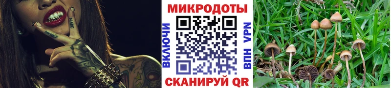 Галлюциногенные грибы GOLDEN TEACHER  хочу наркоту  Чернушка 