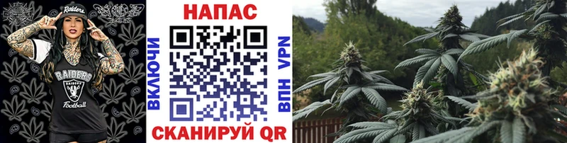 Конопля планчик  МЕГА как зайти  Чернушка 